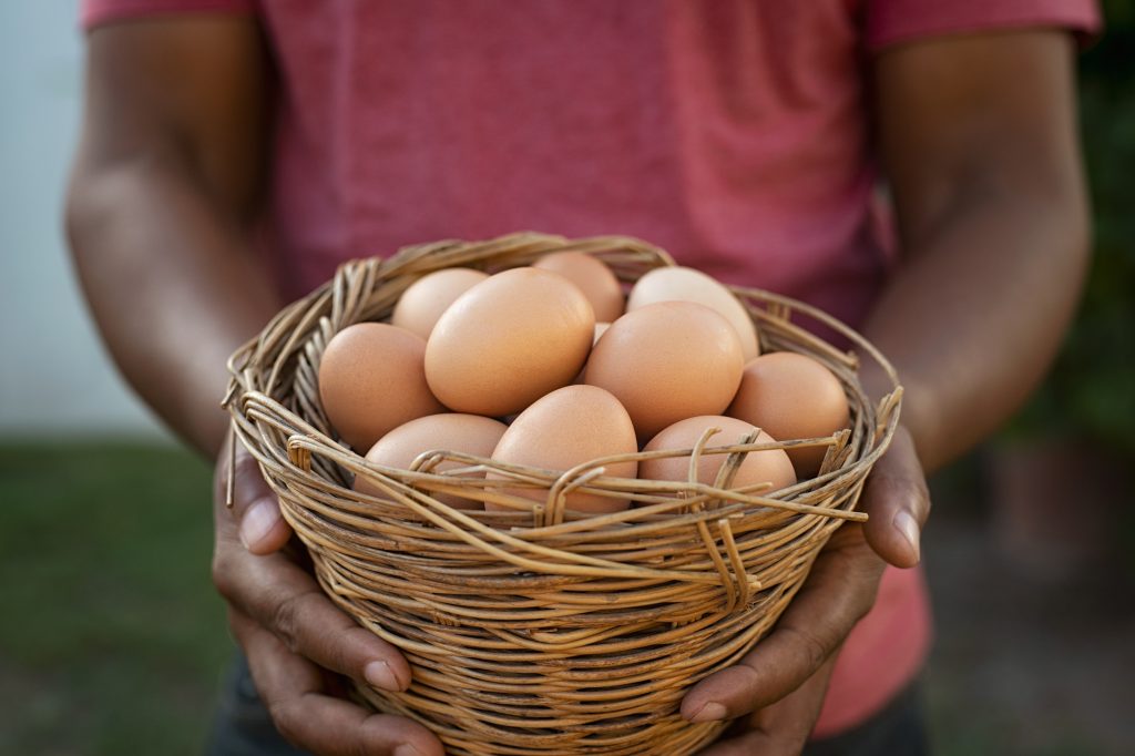 Black hands holding basket of eggs