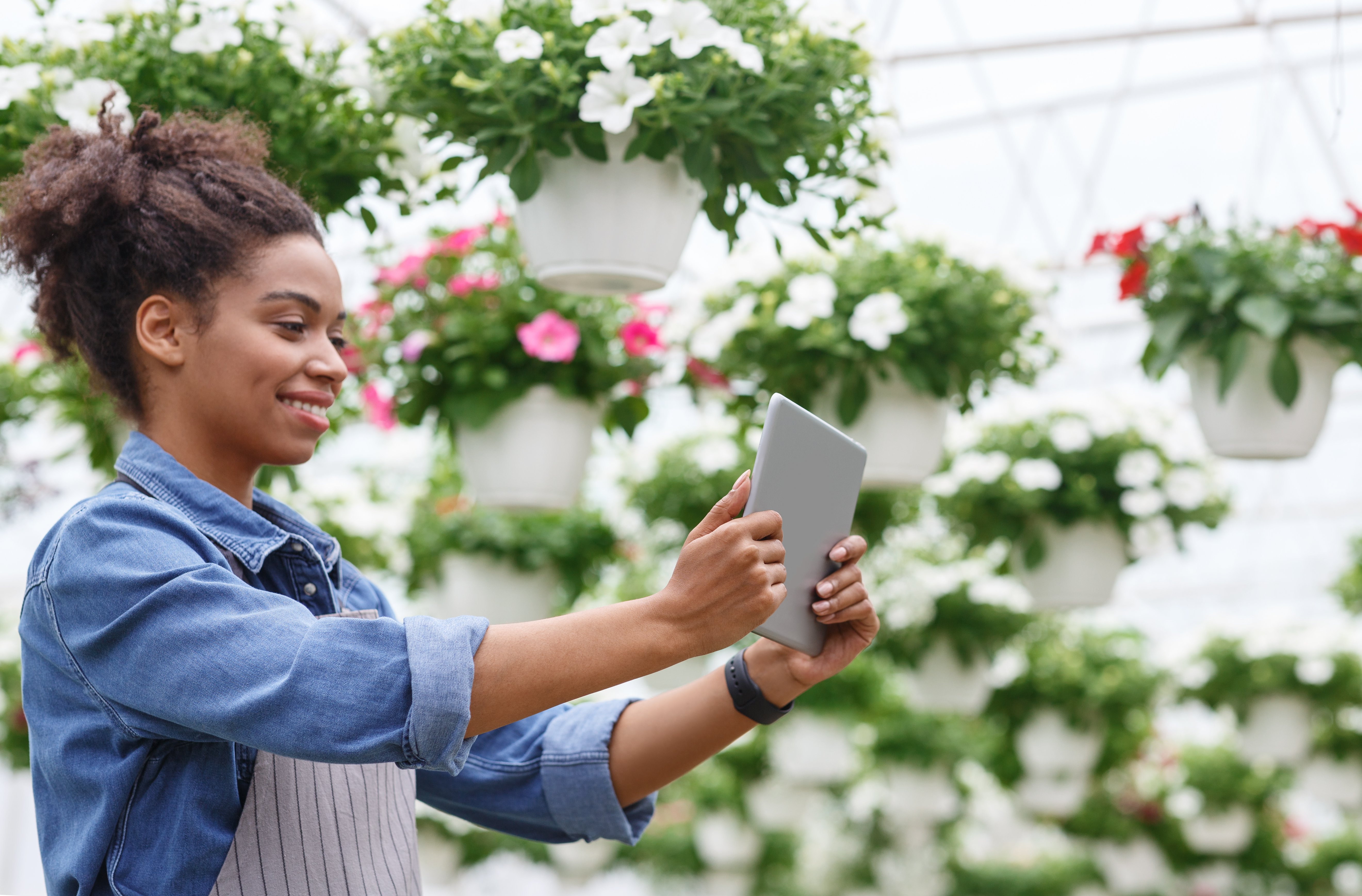Working with digital technology in greenhouses with flowers. African american and farm worker girl